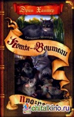 Обещание Метеора: Прозрение