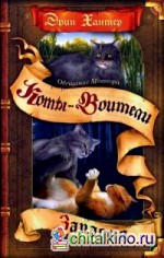 Обещание Метеора: Книга 1. Западня