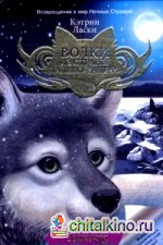 Одиночка