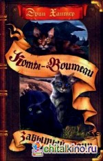 Забытый воин