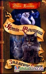 Знамение Луны