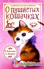 О пушистых кошечках