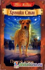 Пустой город