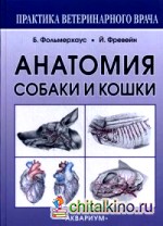 Анатомия собаки и кошки: Руководство