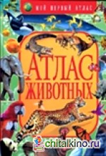 Атлас животных