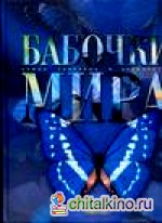 Бабочки мира