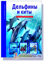 Дельфины и киты