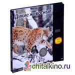 Дикие животные: Иллюстрированная звуковая энциклопедия обитателей средней полосы России. С музыкальным модулем