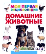 Домашние животные