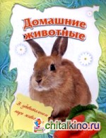 Домашние животные