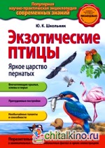 Экзотические птицы: Яркое царство пернатых