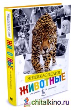 Энциклопедия животных: От амёбы до шимпанзе