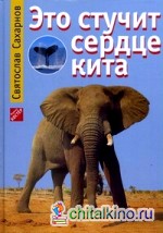 Это стучит сердце кита