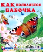 Как появляется бабочка