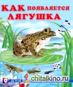 Как появляется лягушка