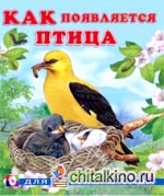 Как появляется птица