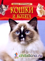Кошки и котята