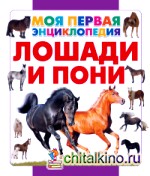 Лошади и пони