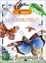 Насекомые