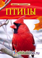 Птицы: Детская энциклопедия