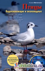 Птицы: Водоплавающие и околоводные (+ CD-ROM)