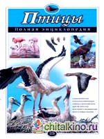 Птицы: Полная энциклопедия