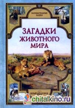 Загадки животного мира