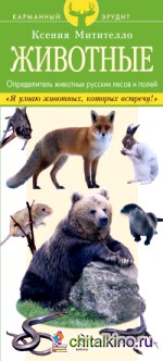 Животные: Определитель животных русских лесов и полей