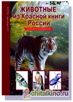Животные из Красной книги России: Школьный путеводитель