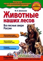 Животные наших лесов: Все лесные звери России