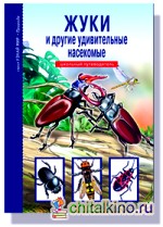 Жуки и другие удивительные насекомые