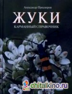 Жуки: Карманный справочник