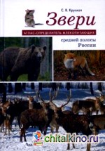 Звери средней полосы России: Атлас-определитель млекопитающих