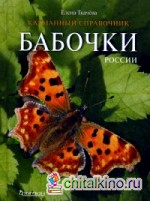 Бабочки России: Справочное пособие