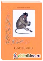 Обезьяны