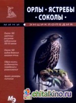 Орлы: Ястребы. Соколы