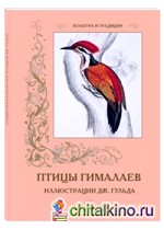 Птицы Гималаев: Иллюстрации Дж. Гульда